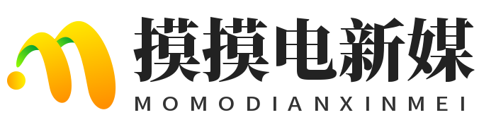 摸摸电新媒_抖音等级号_购买_转让_回收_抖音等级号出售网站_交易平台_抖音粉丝号_抖音号_出售网站